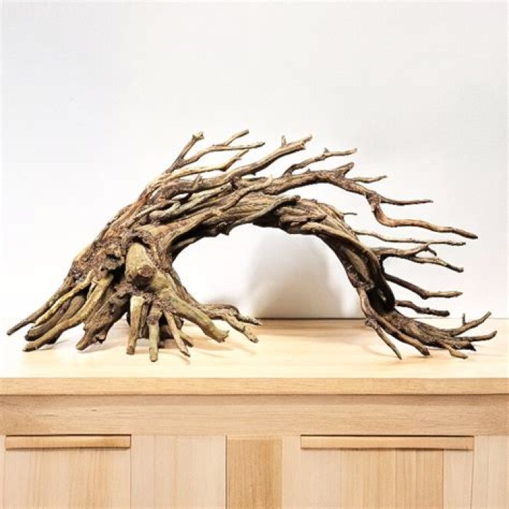 Can you use any wood for aquarium?