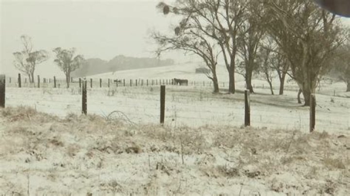 Did it ever snow in Australia?