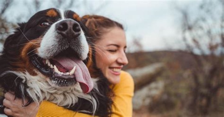 Do abused dogs still love their owners?