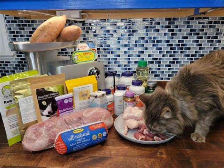 Do cats stop liking their food?
