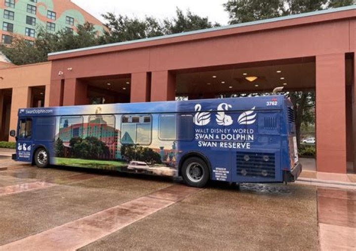Do Disney buses go directly to Magic Kingdom?