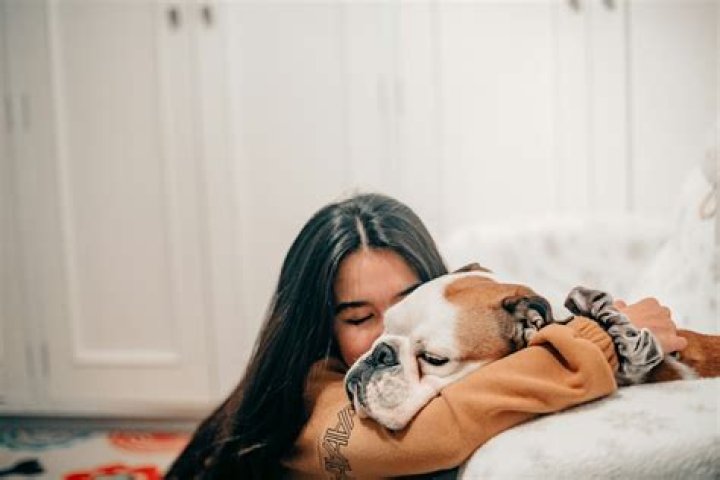 Do dogs like to cuddle in bed?