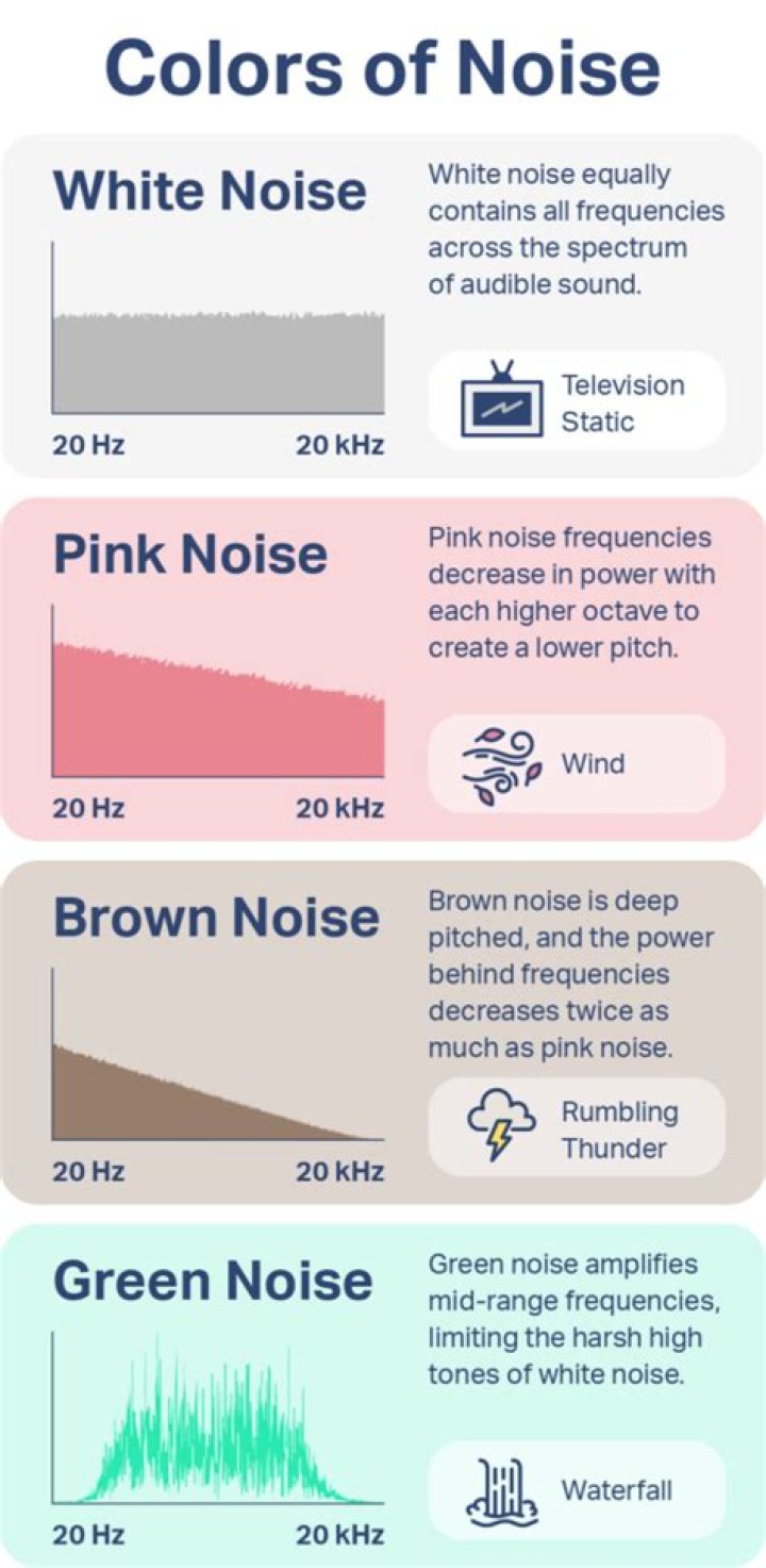 Do dogs prefer noise or silence?