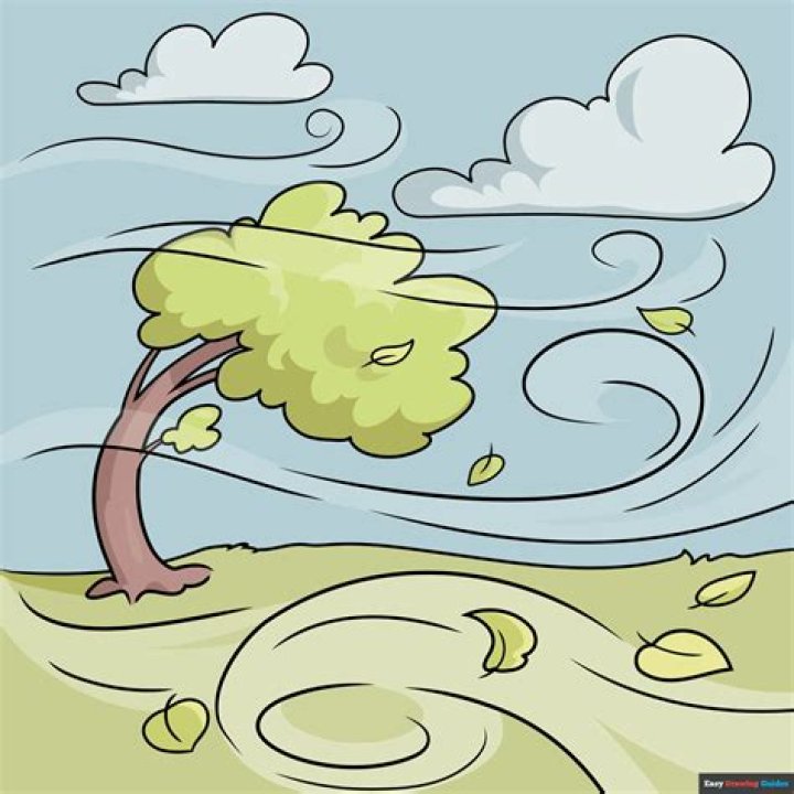 Do ducks like wind?