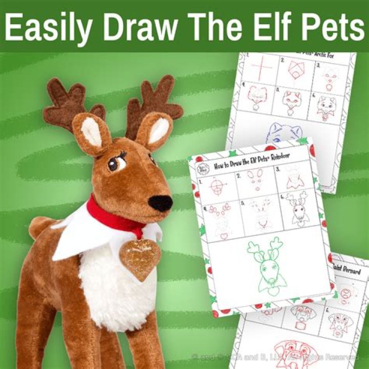 Do Elf Pets hide?