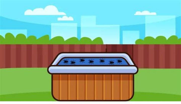 Do hot tubs attract spiders?