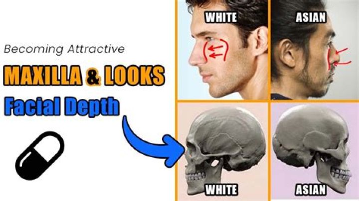 Do I have a wide face?
