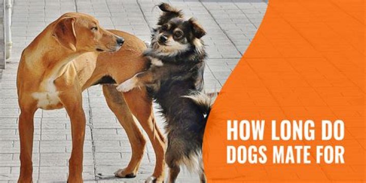 Do male dogs mate with their offspring?