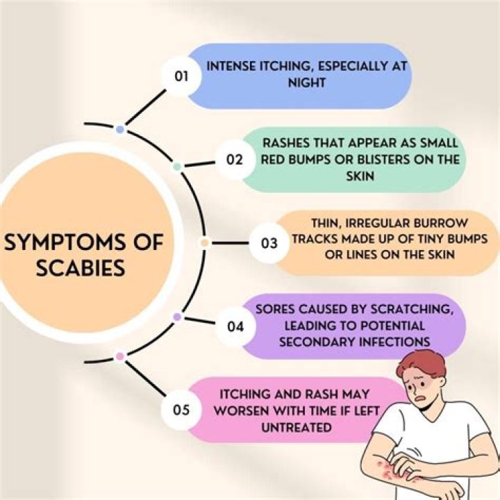 Do scabies mites jump?