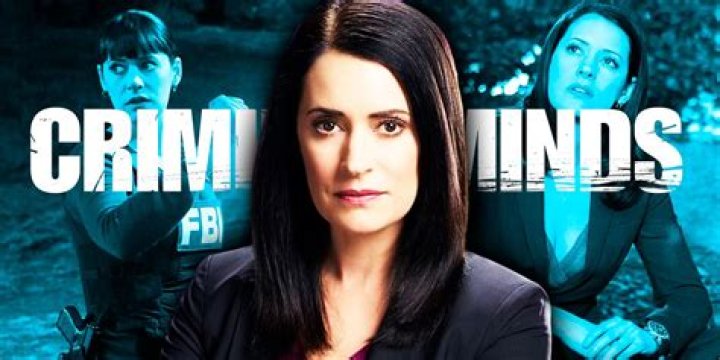 Do they actually fly in Criminal Minds?