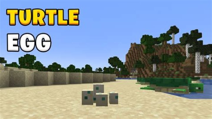 Do turtle eggs attract zombie?