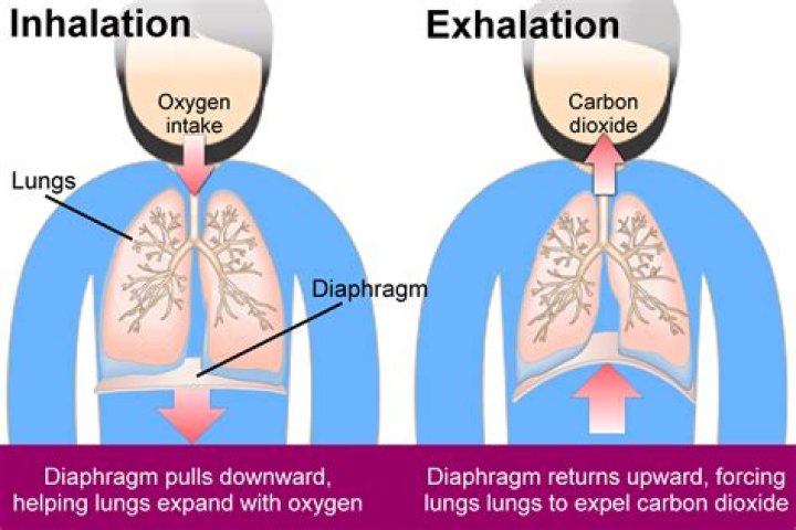 Do you breathe when you faint?