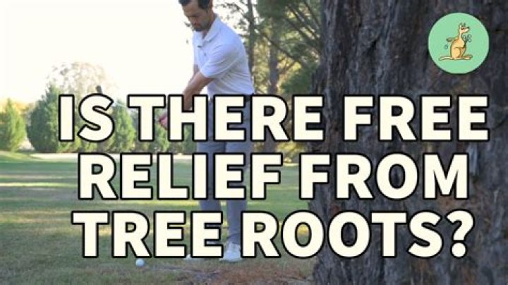 Do you get relief from a tree well in golf?
