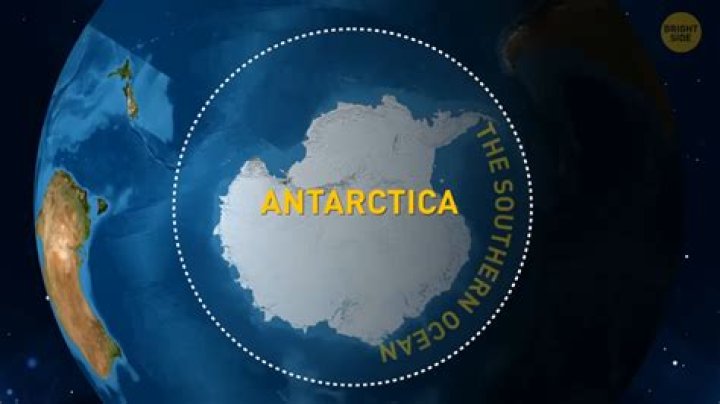 Do you have to remove your appendix to go to Antarctica?
