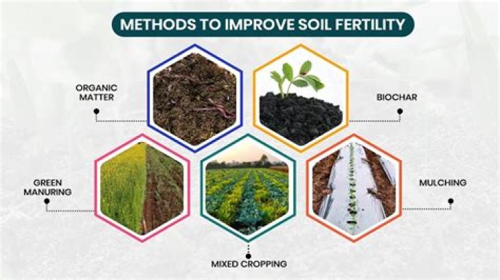 Do you keep soil moist when propagating?