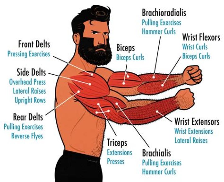 Do you really need an arm day?