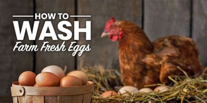 Do you wash farm fresh eggs?