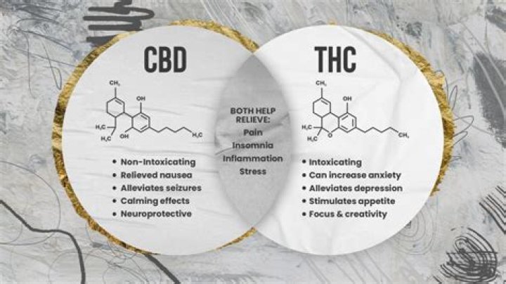 Does CBD mess with your mind?