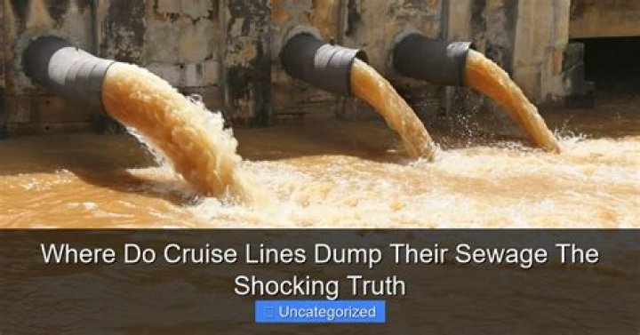 Does Chicago dump sewage into Lake Michigan?