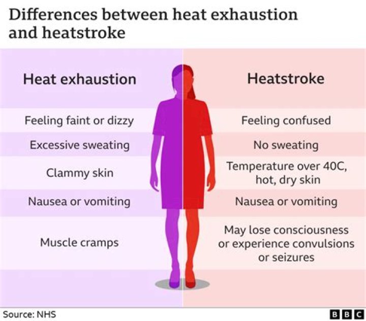 Does cinnamon cause body heat?