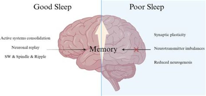 Does epilepsy affect long term memory?