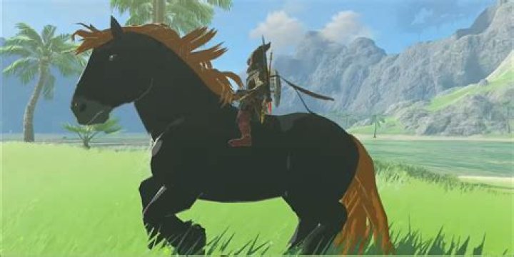 Does Ganon's horse have a name?