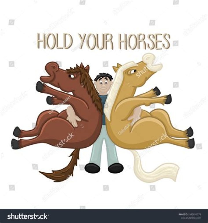 Does hold your horses mean be stable?