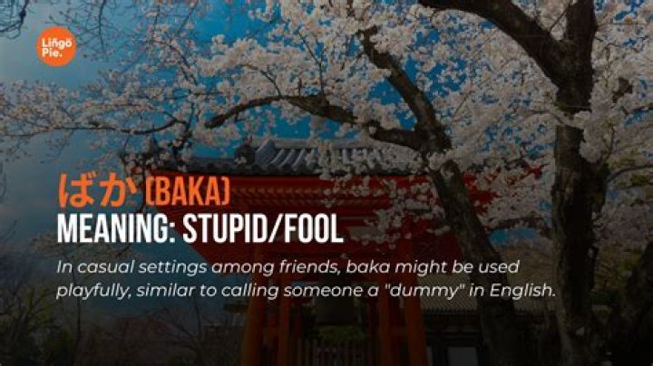 Does Japanese have spaces?