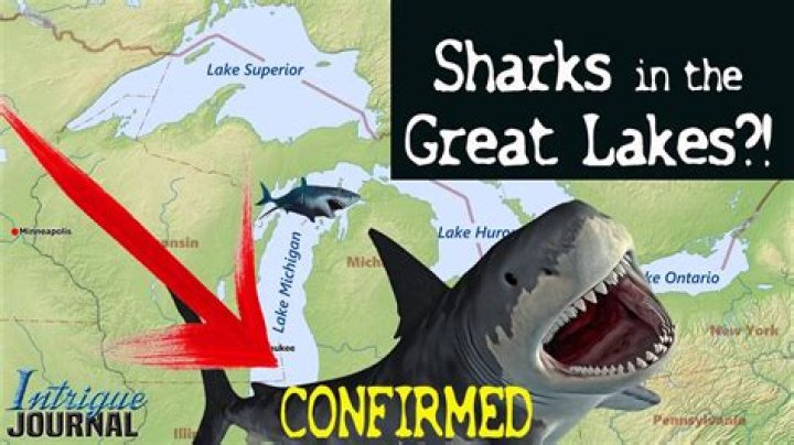 Does Lake Superior have sharks?