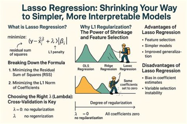 Does lasso regression reduce bias?