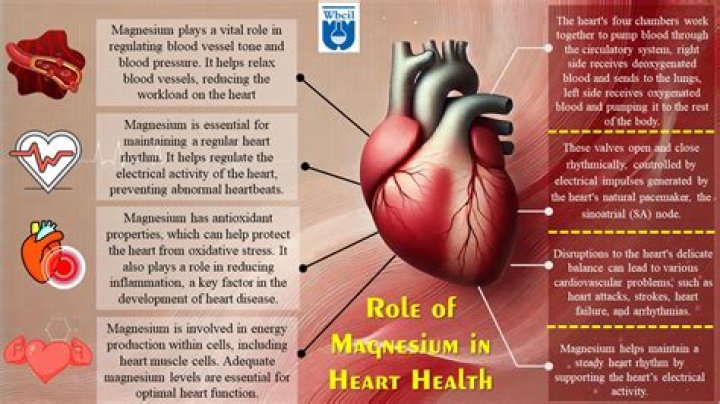 Does magnesium cause high cholesterol?