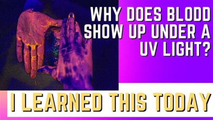 Does Mold show up under black light?