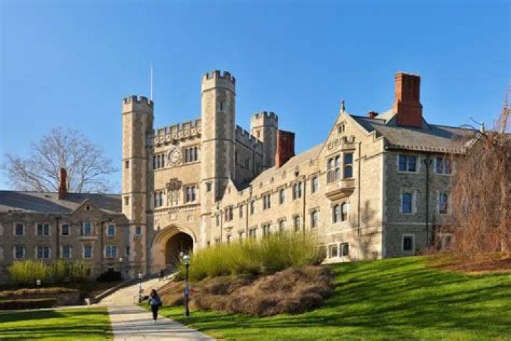 Does Princeton have a party?