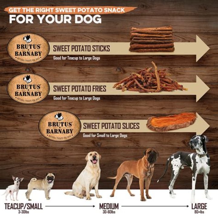 Does sweet potato help dogs poop?