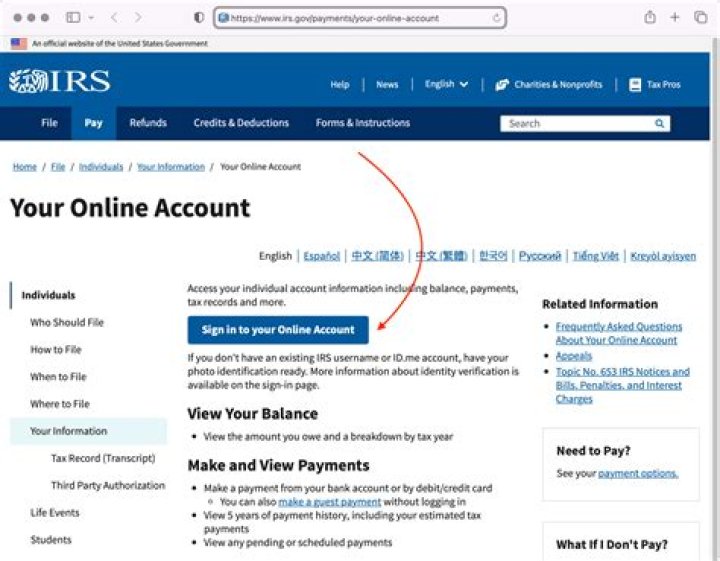 Does the IRS watch you?