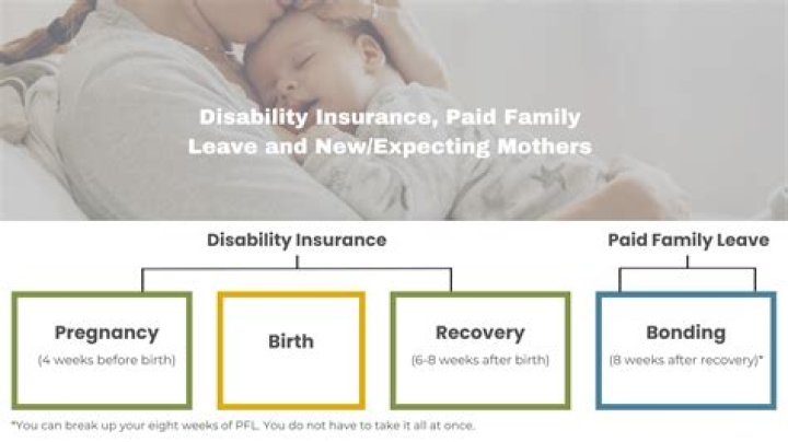 Does the VA offer paid maternity leave?