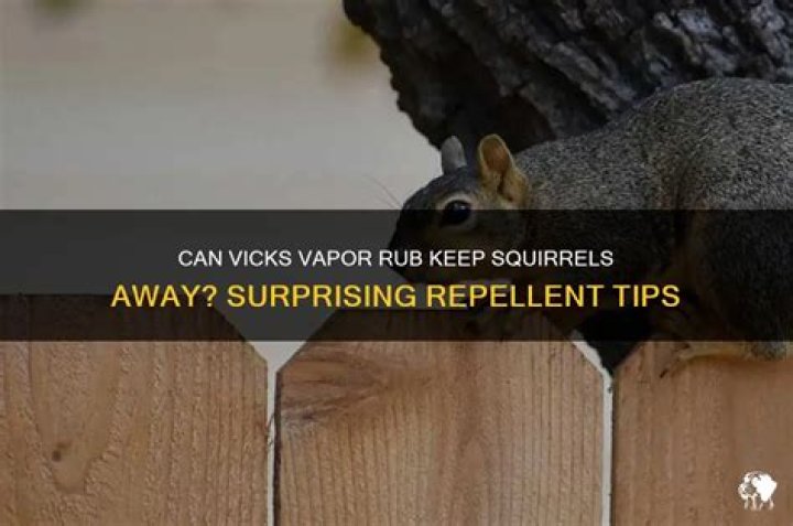 Does Vicks Vaporub keep squirrels away?