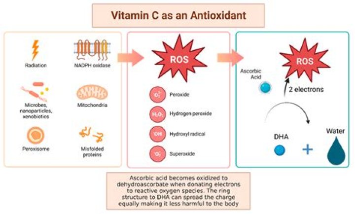 Does vitamin D reduce stress?