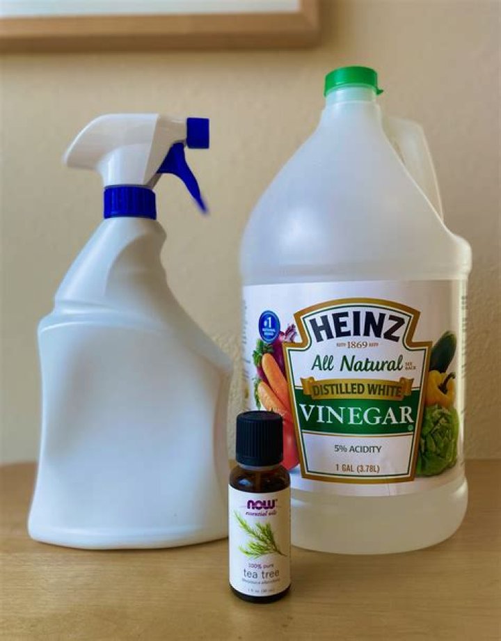 Does white vinegar kill mosquitoes?