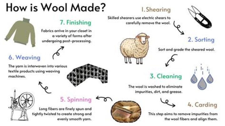Does wool exist ethical?