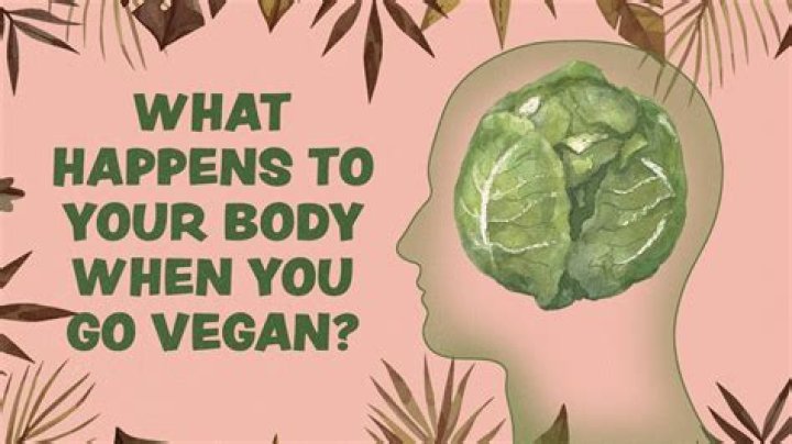 Does your body detox when you go vegan?