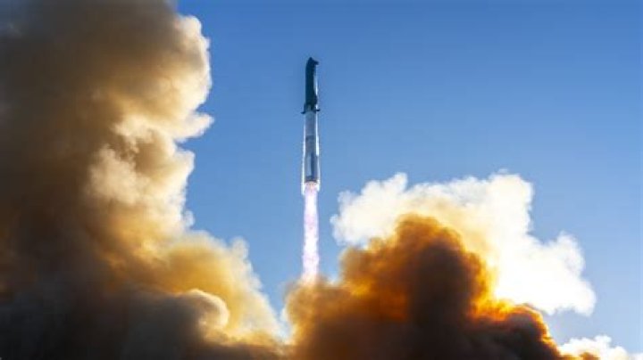 Has a furry been to space?