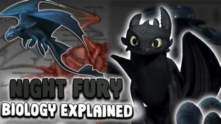 How accurate is Fury?