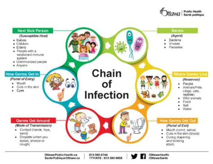 How are infections spread?
