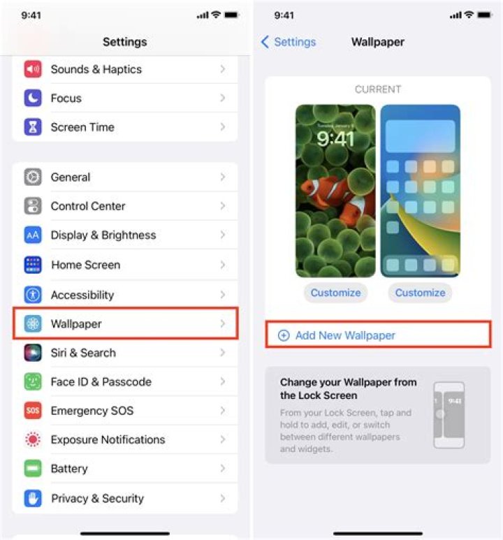 How can I change my iPhone theme color?