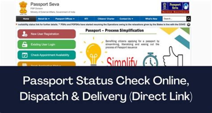 How can I check my passport status in India?