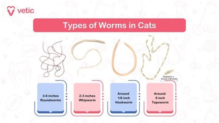 How can I Deworm naturally?