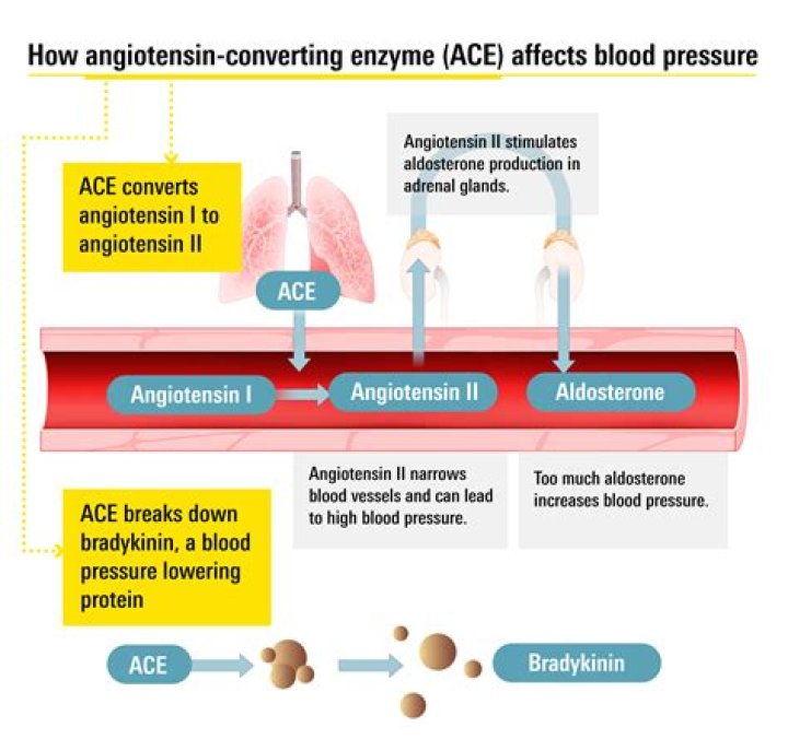 How can I get off blood pressure medicine?