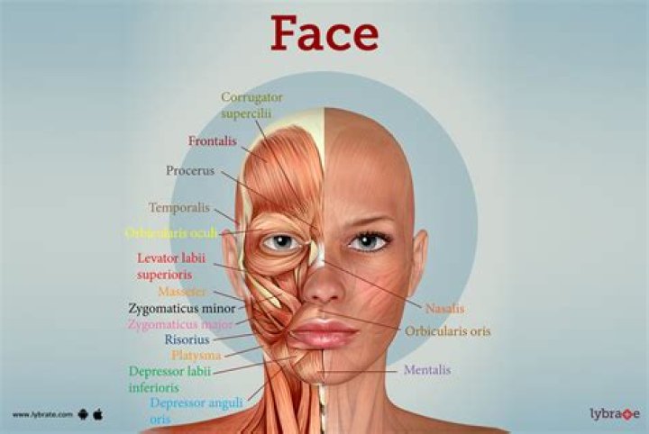 How can I improve my facial features?