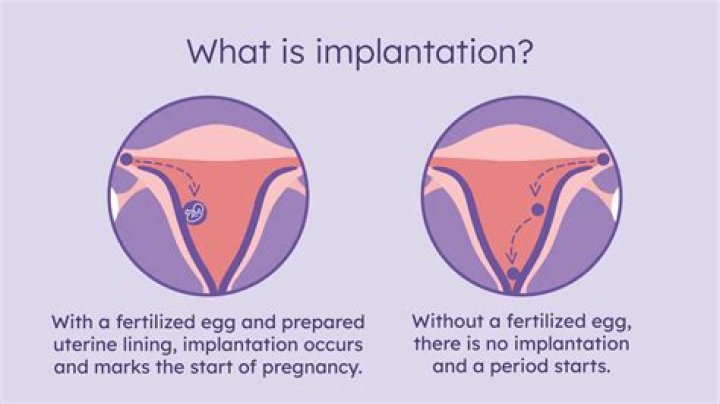 How can I prepare my uterus for implantation?